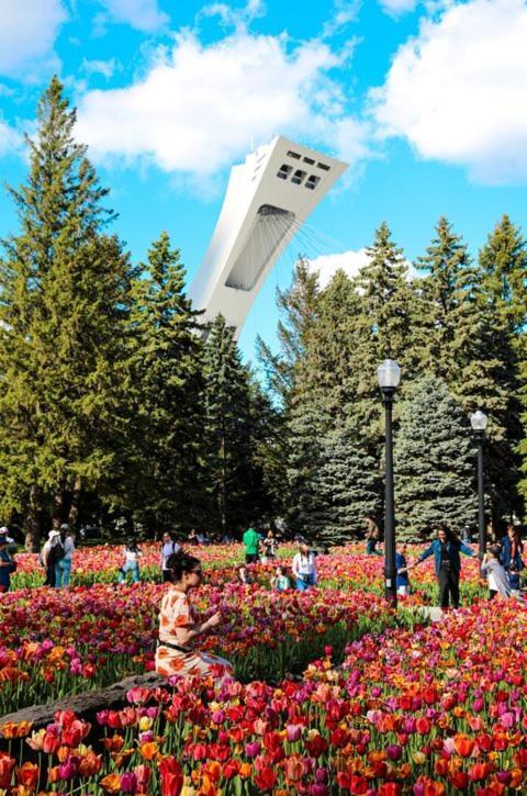 Mtlvacationrentals-The Mtlvr Kisses Montréal Dış mekan fotoğraf